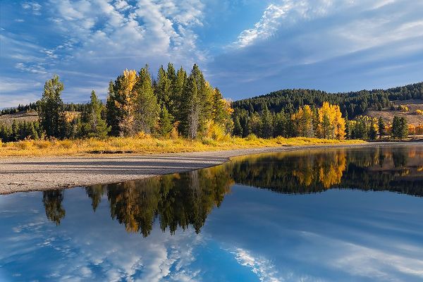 Jones, Adam 아티스트의 Tranquil autumn scene along Snake River-Grand Teton National Park-Wyoming작품입니다.